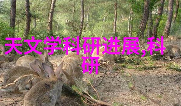 锋利与韧性不锈钢深加工的双面世界