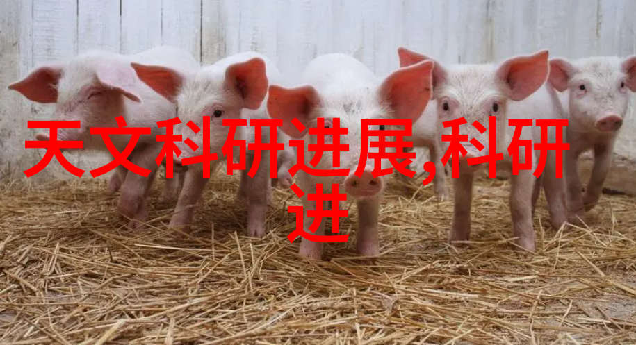 管式离心机工作原理之谜它是如何实现高速旋转的
