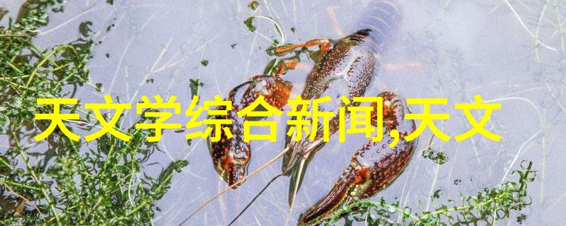 蒸汽动力之源纯蒸汽发生器的秘密与力量