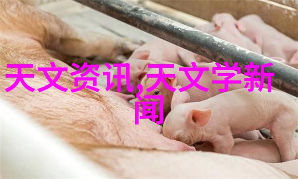 药品外包装机械在生产线上的关键作用