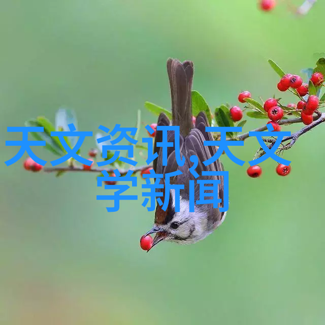 无锡不锈钢板生产厂家推广Grafoplast滑动式透明套管100系列在社会应用中的特点