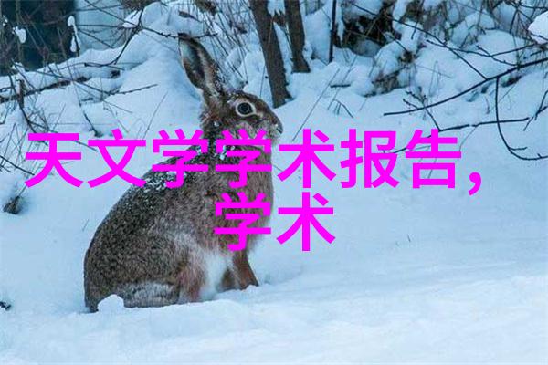 反应釜与反应器同频共振的化学之舞分歧对位的实验室双胞胎