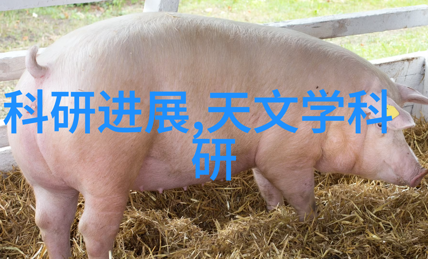化工反应釜工作原理剖析热力学催化剂与流程控制的融合