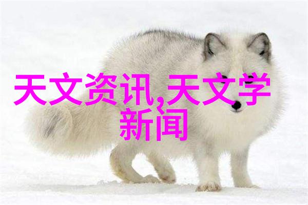 层析柱揭秘那些隐藏在分析仪器里的英雄们我们的样品处理小能手
