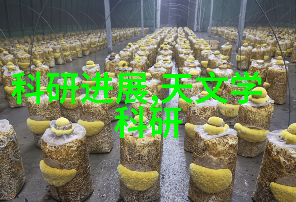 牙科高压蒸汽灭菌锅操作指南确保口腔医疗器械的无菌处理