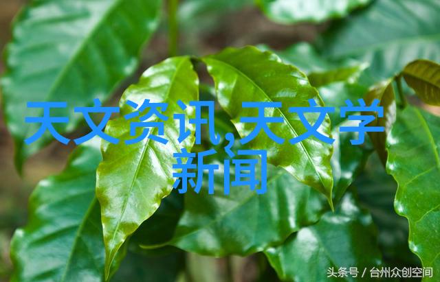 ZoomDog2021探秘猪视频界的新宠一场虚拟与现实相融的奇幻之旅