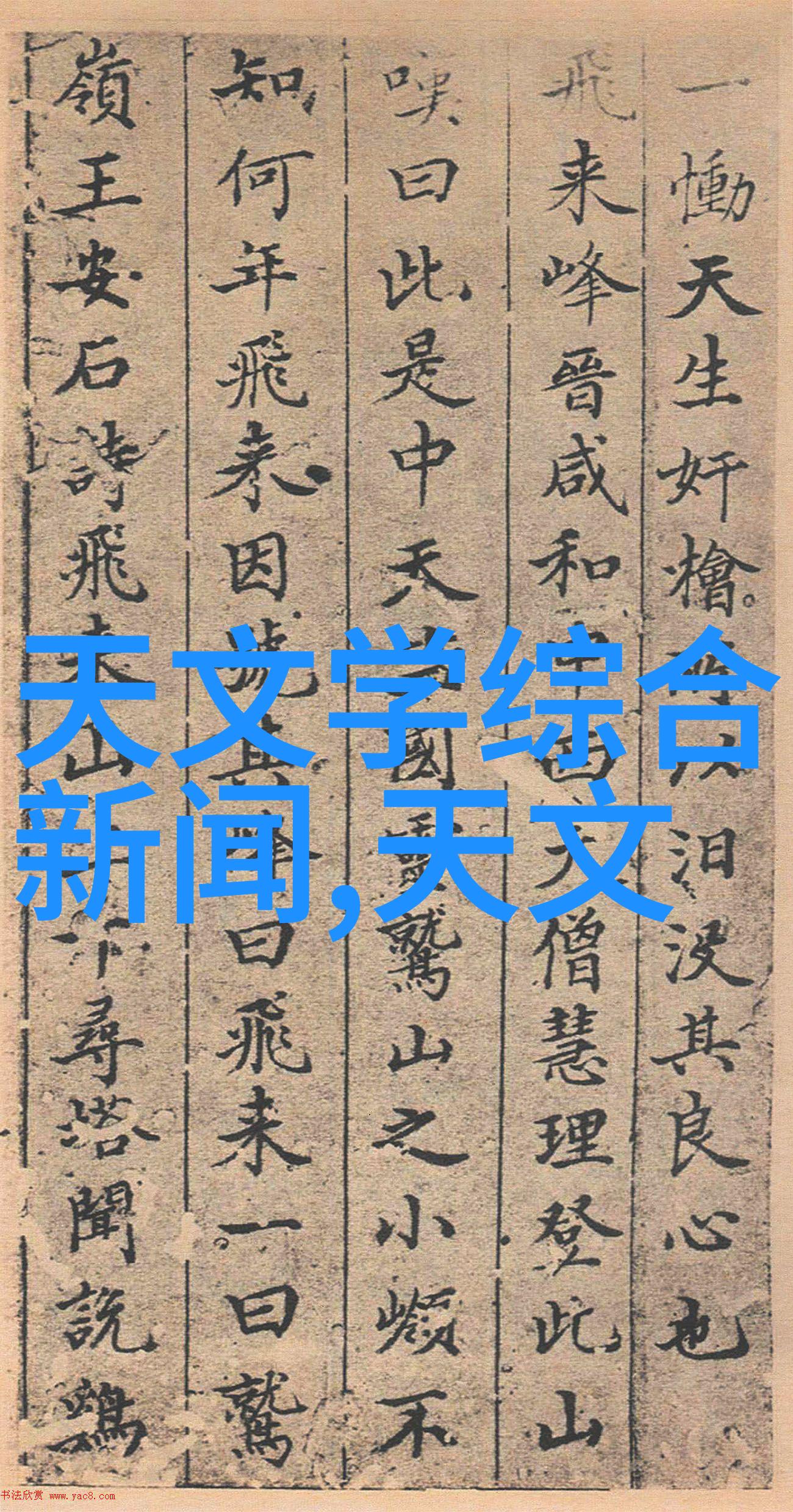 山东外国语职业技术大学国际化教育的窗口