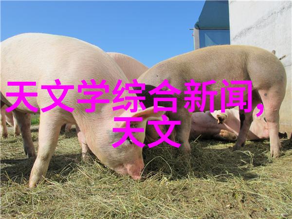 制造信息系统的未来发展趋势与挑战