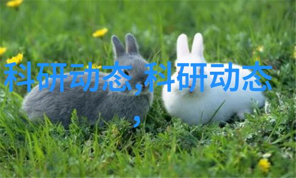粉状物料冷却设备-高效降温系统的创新应用