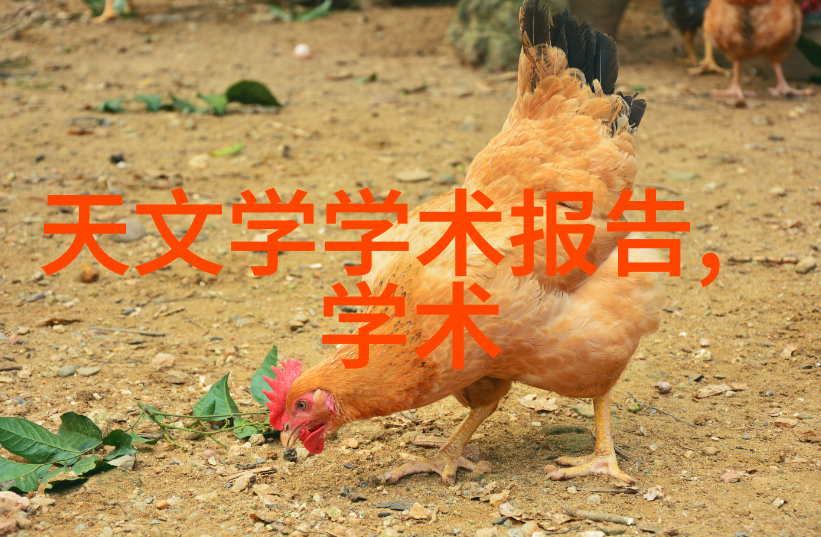 管上加油批发不停附近pvc管件大联军节省你一路的弯弯绕