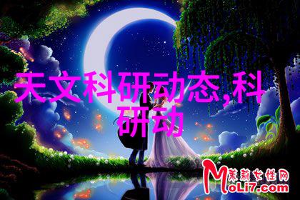 在数字化浪潮下全国蔬菜批发市场网能否真正实现信息的透明化与流通的高效