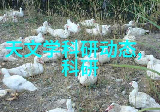 环环境友好型化学试剂在化工液体药品检测中的使用探究