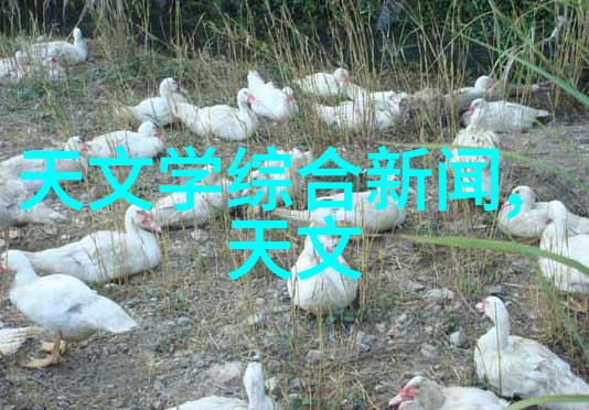 上海财经大学浙江学院我在这座充满金融智慧的校园里找到了自己