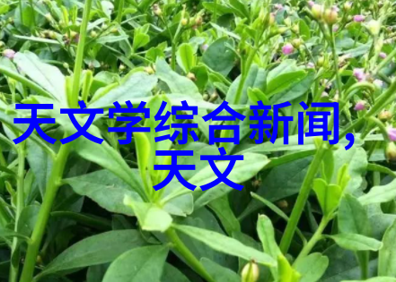 家用不锈钢货架真的需要高压过滤器吗