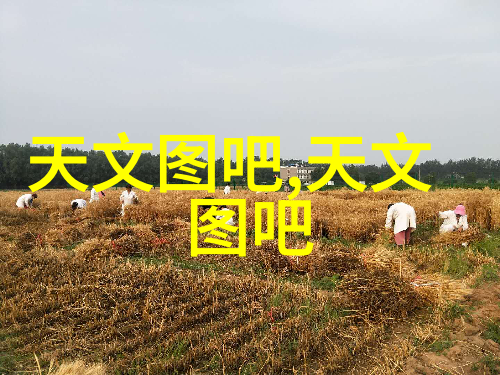 儿子比老公更大更硬朗的句子我的家庭故事