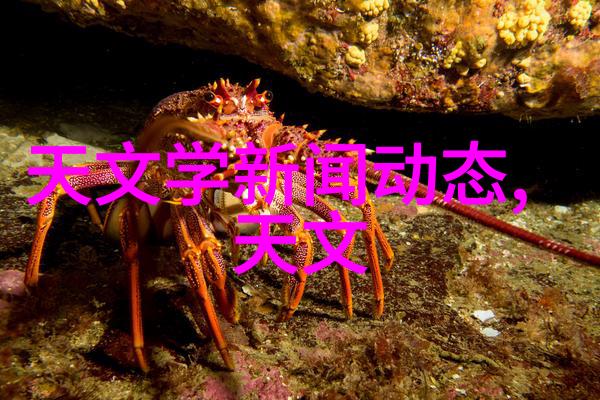 丝网波纹填料装填方式研究探索新型材料注入技术的应用与优化