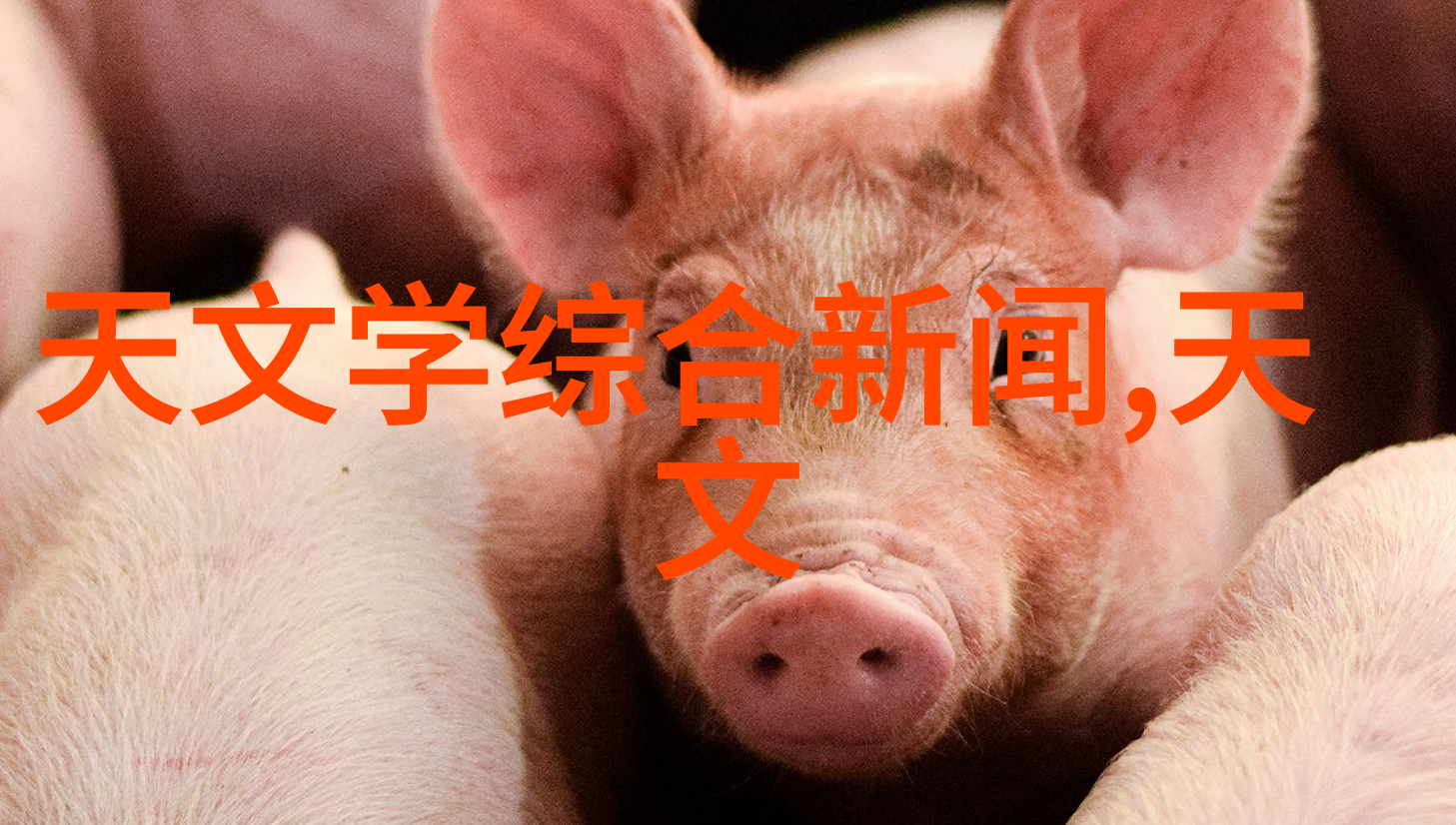 镀锌钢管价格最新行情一吨老板你这下得要好好打算了