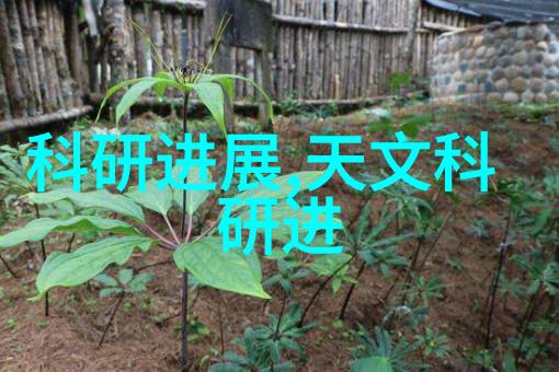 不锈钢小巧精致探索不锈钢小产品图片大全的魅力
