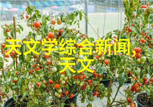 110水管价格全解析了解你的水费账单