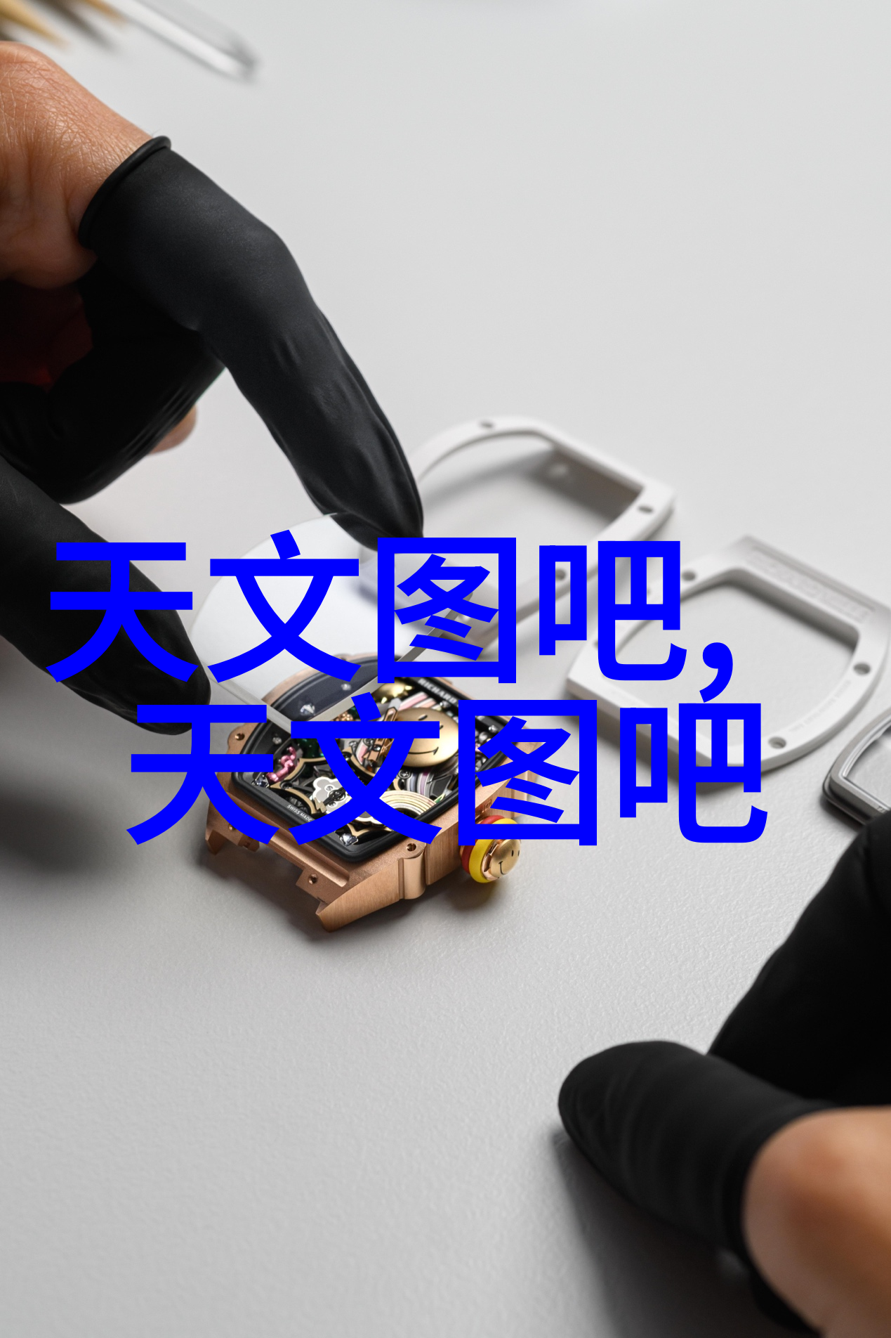 中国市场调研网我是如何在这片蓝图上找到我的小确幸的