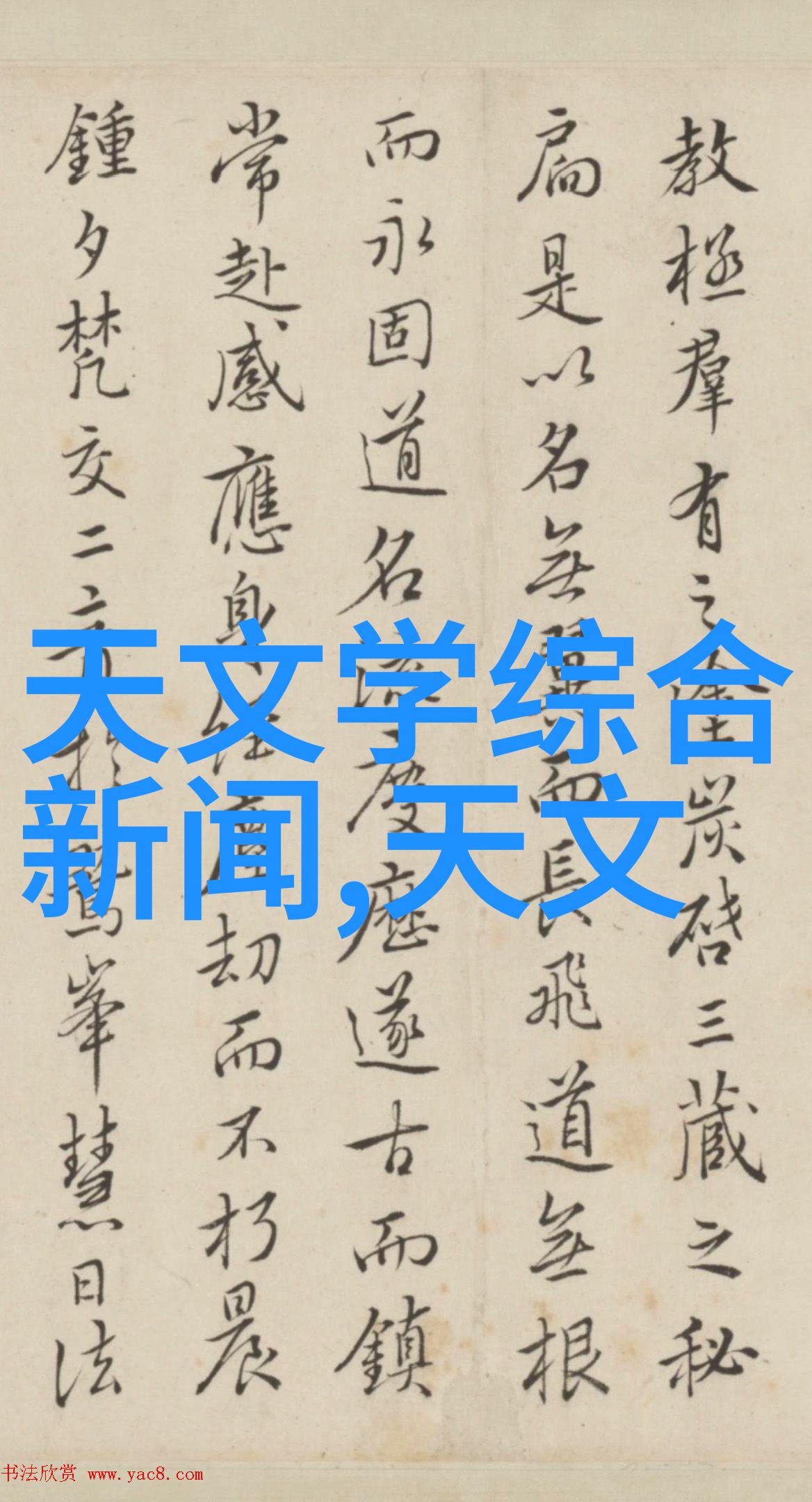 自我反思与职业规划使用模板进行深入探索