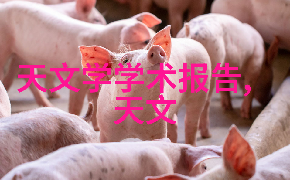 PP-R管材环保无溶剂高性能塑料管材的选择