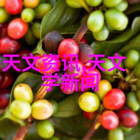 储藏空间小技巧最大化利用你的冰箱和抽屉空间