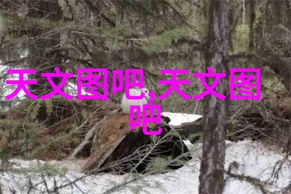 实验室常用设备探秘科学世界的助手们