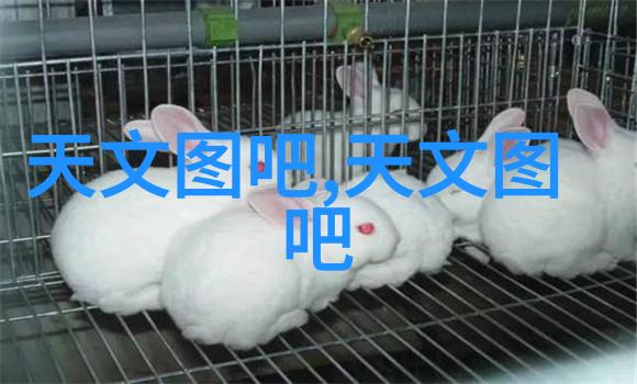 智能装备方案基于深度学习的智能无人机探测与救援系统深度学习的无人机探测与救援