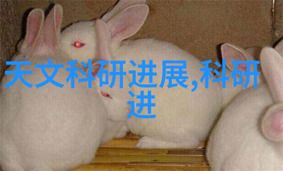 爱情与赌博的温馨对决-双人床上打扑克视频全程爱在牌桌上的交锋