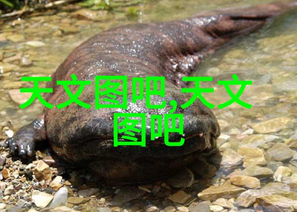 制药精密器具推动药物研发与生产的关键技术