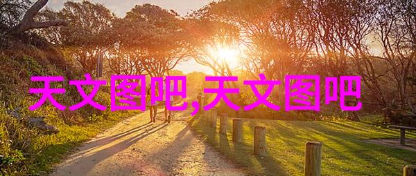 管式離心機在生物制品生產線上的关键角色分析