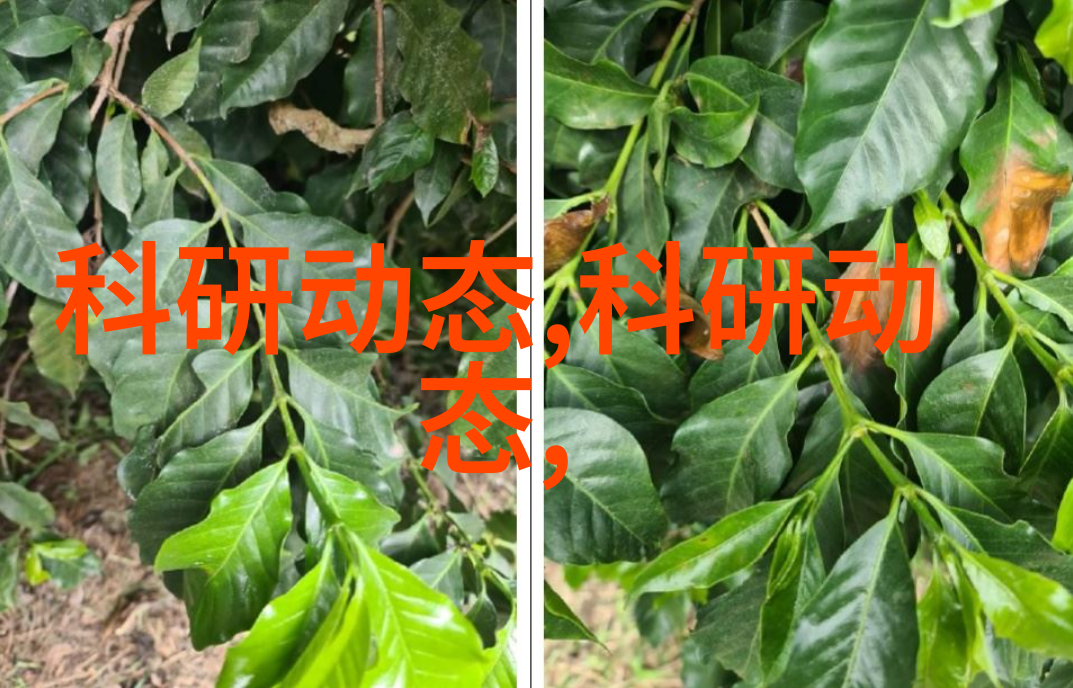 布袋除尘器堵灰原因分析工业生产中的粉尘处理系统维护问题