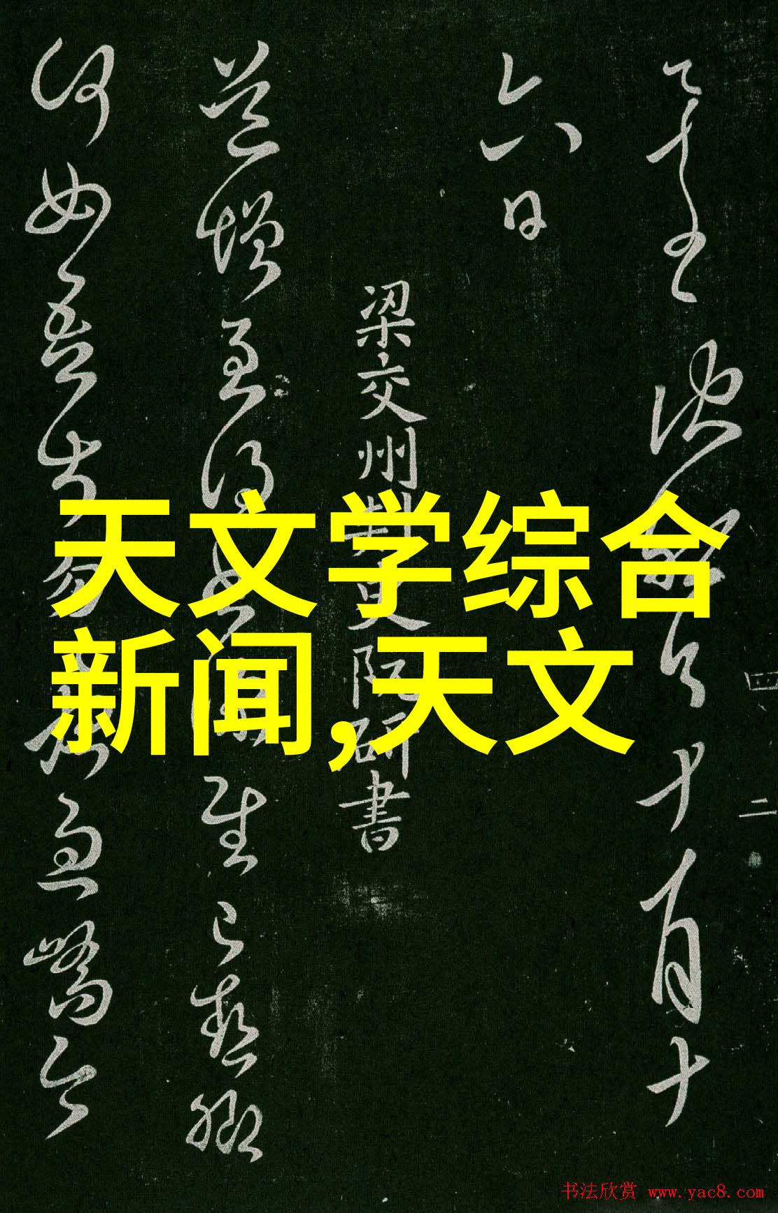 沿海学府扬帆启航的未来之光