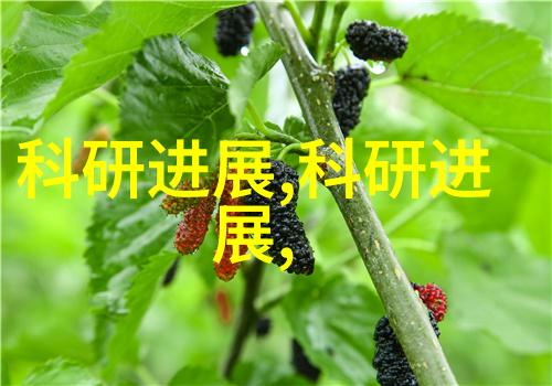 蒸汽杀菌魔术台式蒸汽灭菌器的日常应用与保养秘诀