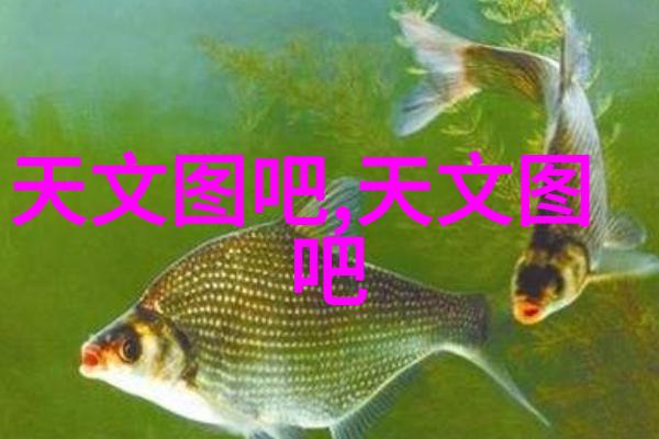秋韵笔下的军婚恋曲止渴之情的温柔交响