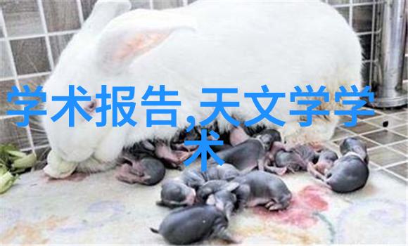2025国际可再生能源供热技术大会召开