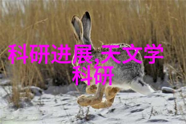 精致工艺自制不锈钢艺术品的魅力