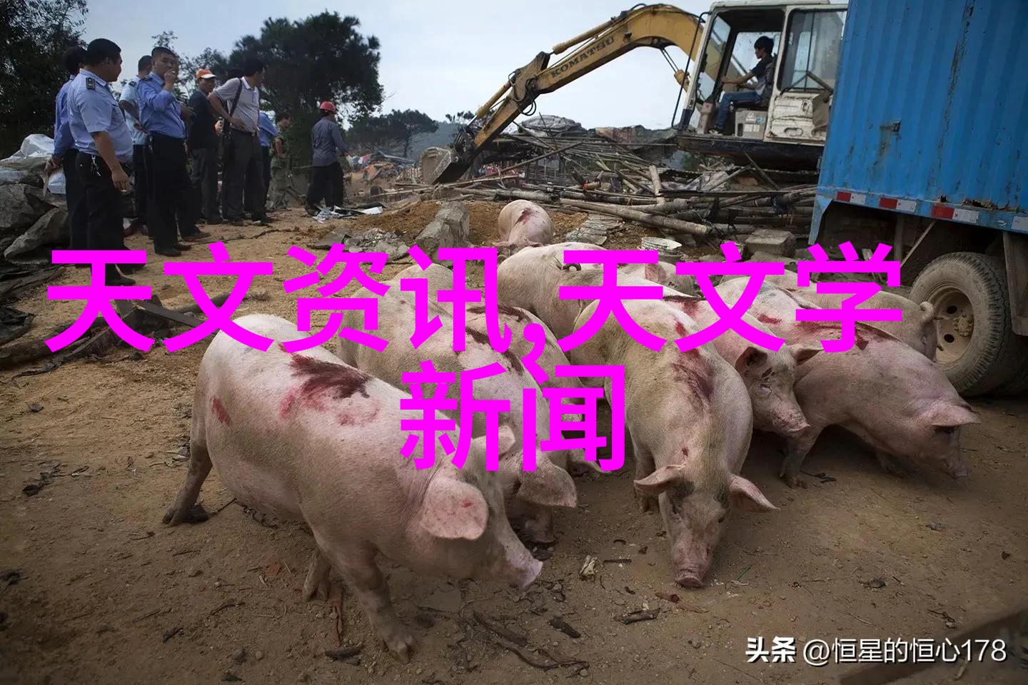 空压机油气分离器图片我来教你识别这些图中的关键部件