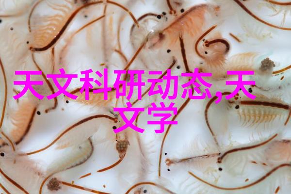 干燥设备厂沙漠中的绿洲