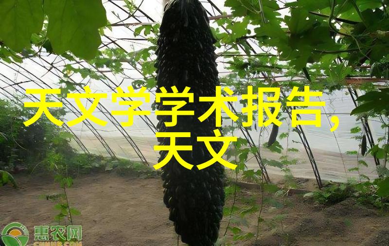 粉碎设备高效能碎石机器