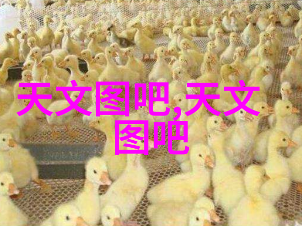 应用领域专用不锈钢资料汇总 食品加工到医疗设备的要求探究