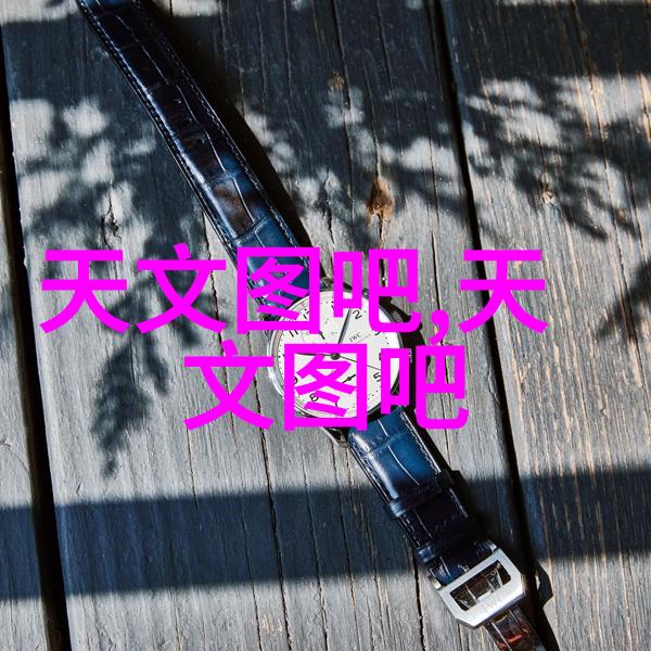 垃圾焚烧炉技术进步与环境保护的新篇章