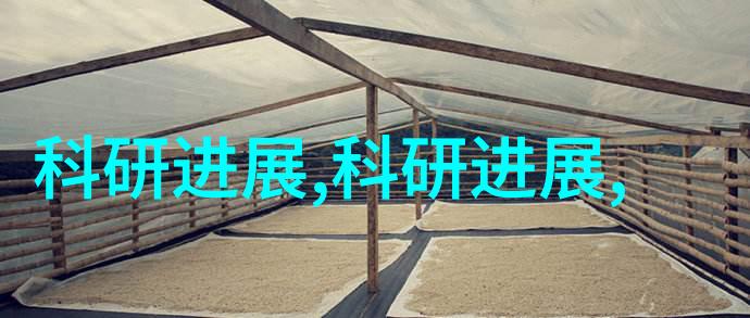 激情燃烧梦想启航年度个人发展计划