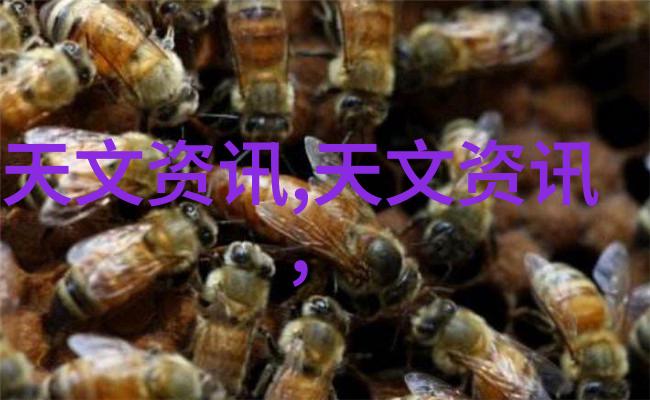 波纹填料产品在不同行业中的应用要求是否存在差异这些差异又是如何体现在技术标准上的