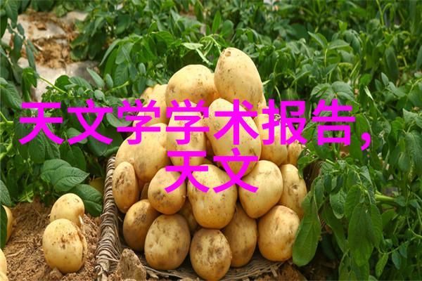 探秘芯片结构揭开多层次的奥秘