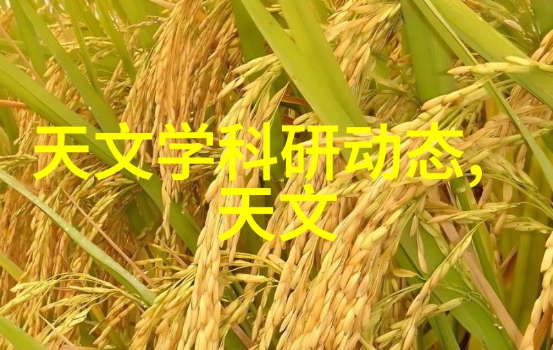 环境友好型冷存储解决方案绿色环保降低运营成本