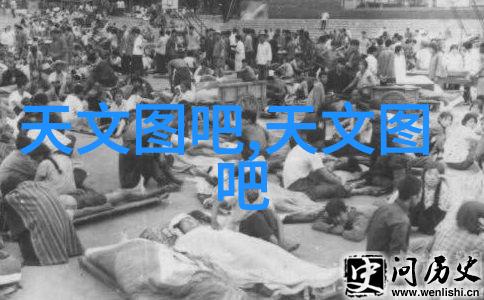 塑料材料-PE料型号大全 探索多样化的聚乙烯产品选择