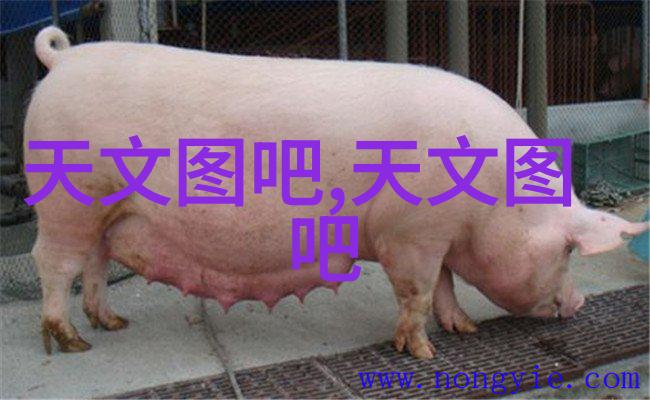 电缆回收的现状与前景探讨