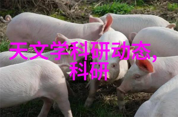 污水处理设备一体化污水处理设备厂家我来告诉你一个超级方便的秘密如何让你的生活更环保